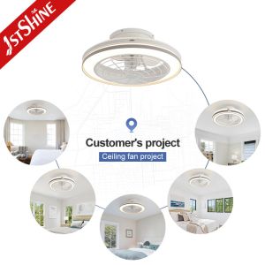3000-6500K Color Temperature DC Ceiling Fan with Remote Control and Low-Profile