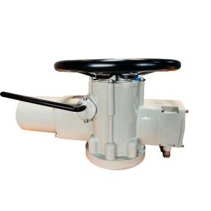 220V AC 2500NM Multi Turn Pneumatic Actuator Customized IP67