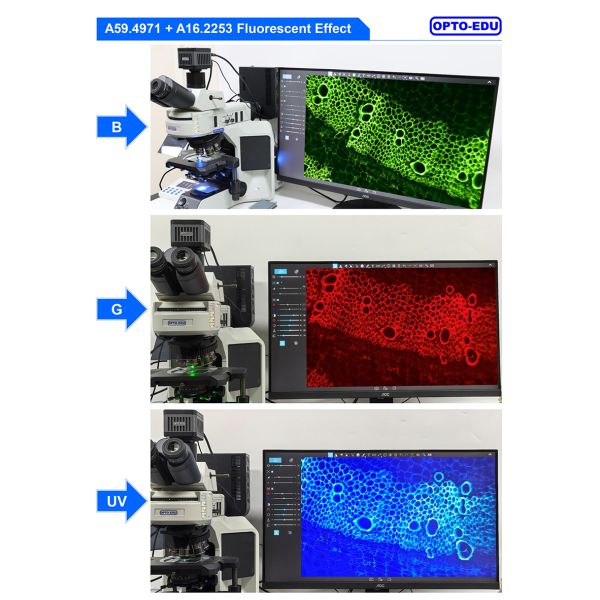 OPTO-EDU A59.4971 Auto Focus EDF 4K HDMI USB LAN Digital Microscope Camera 8.3M Flourescent