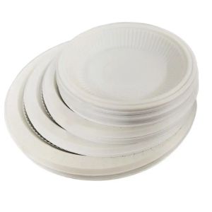 Greaseproof Microwavable Biodegradable Food Container Disposable Bagasse Plate