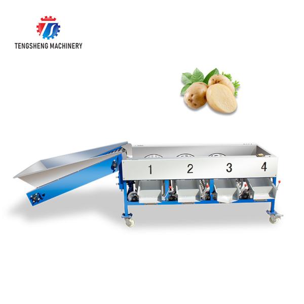 Buy Connected Pipeline Jujube Fruit Sorting Machine Multifunctional at wholesale prices