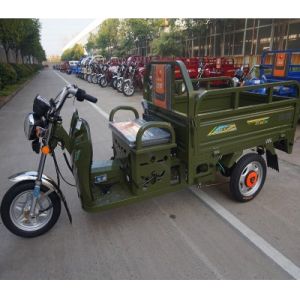 Carry Elderly Mobility Small Open Load 1t Gasoline Tricycle
