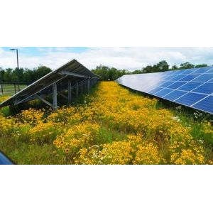 8000w Commercial 48V Solar Photovoltaic System