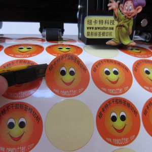 Signkey Cutting Plotter With ARMS SKA720H Cutting Plotter With AAS Printed Label