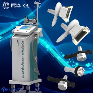 Quality Fat Freezing fat removal weight loss cryolipolysis slimming machine fat removal clinics for sale