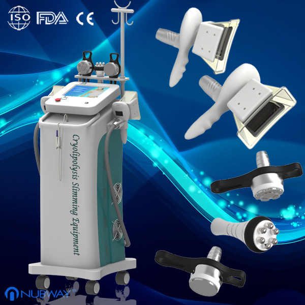 Buy Newest Cryolipolysis Machine/Newest Cryolipolysis Slimming Machine at wholesale prices