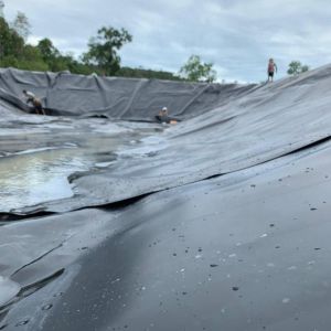 Industrial Fish Farm Pond Liner HDPE Geomembrane 0.75mm 1mm 1.2mm for Durable