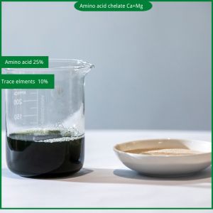 Quality Amino Acid Chelated Organic Calcium Magnesium Powder for sale