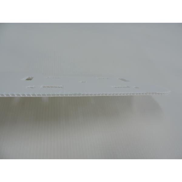 24x18" Reusable White Corrugated Plastic Cardboard