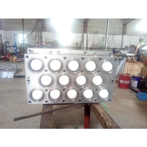 Thermoforming Plastic Pet Preform Mold Customized Color