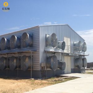Galvanized Steel Structure Poultry House for 20 Chickens