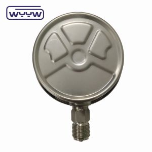 Vertical Connection Silicone Stainless Steel Glycerin Filled Pressure Gauge