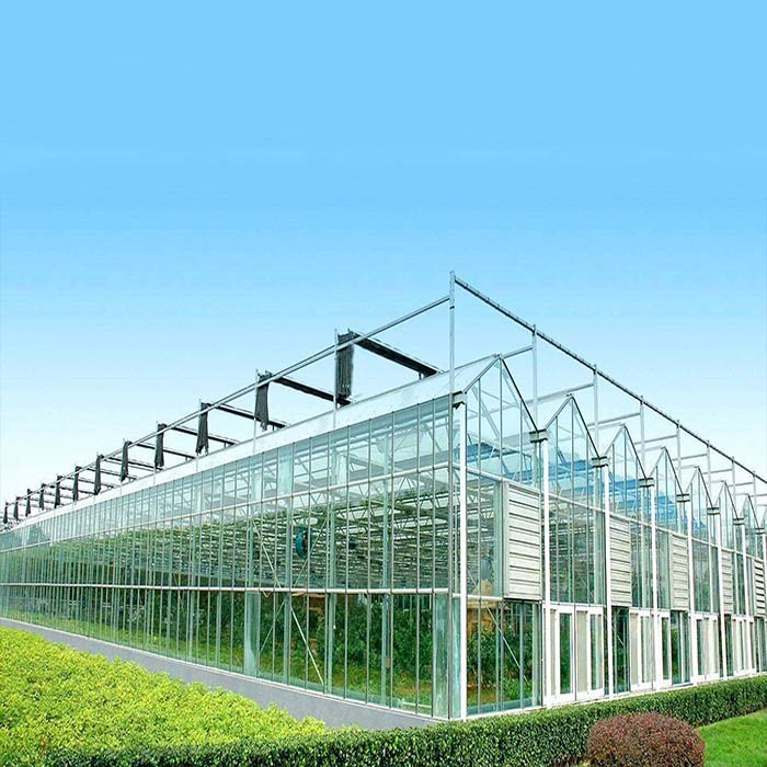 Quality 60m/S Max Wind Speed 4m PC Sheet Cover Greenhouse Solar System for sale