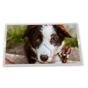 ODM 15.0-Inch WLED LCD Display Module LB150X03-TL03 with 1024*768 Resolution for New