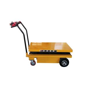 EPB30 EPB50 Full Electric Table Lift Platform With Loading Capacity 300Kg or