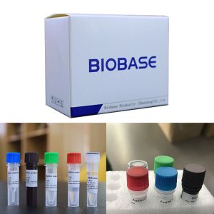 Hot Sale 2019-Novel Coronavirus Real-time PCR Test Kits 48T/kit PCR