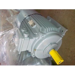 IP55 Asynchronous 3 Phase Motor B3 Mounting Aluminium Housing MS Electric Motor