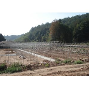 Smart Strawberry Plastic Outdoor Greenhouse Large Commercial Greenhouse