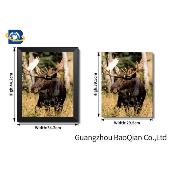 Wall Art Stretched Picture Of Wild Animal Black Bear / Deer For Bedroom Decoration