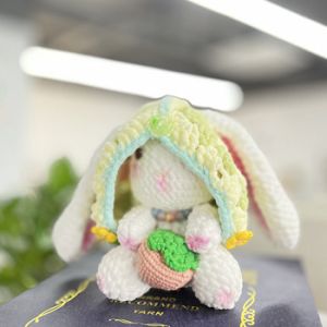 DIY Knitting Strawberry Rabbit Crochet Kit For Beginners Adults And Kids With