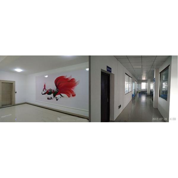 Hard Shell TPR Knee Elbow Pads for Design and Protection Function Basic Protection