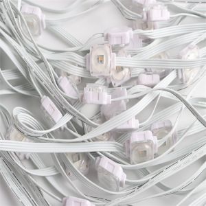 Gouly House Decor 25mm Permanent Eave Light DC24V RGBW Full Color Addressable