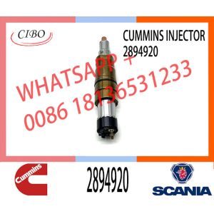 Common rail injector fuel injecto 2894920 2897320 1948565 1933613 for ISZ13