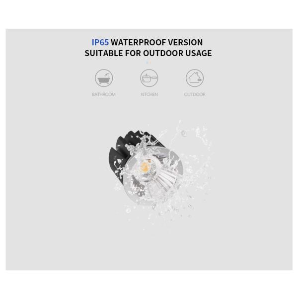 Low Voltage White MR16 Module 2700K-6500K Tunable Spotlight Module