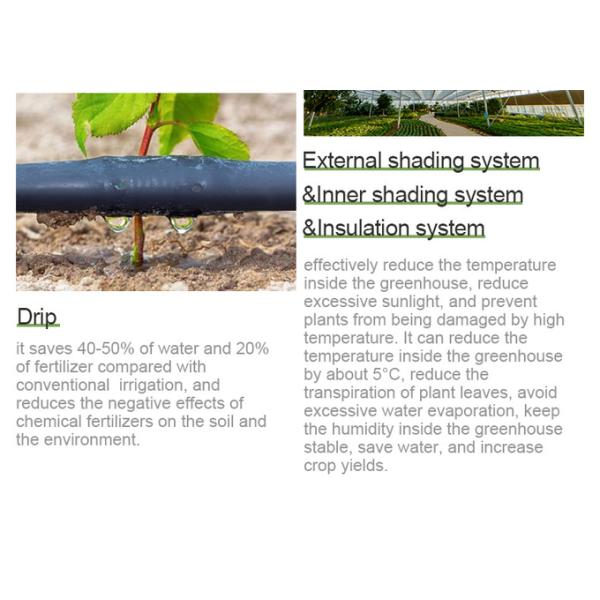 Plastic Film Tunnel Greenhouse Kit Width 6m 8m 9m For Growing Vegetables Flowers Fruits