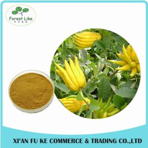 Rich in Linalool and Geraniol Pure Bergamot Extract
