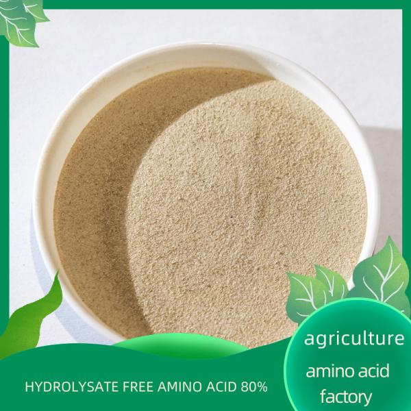 Organic Nitrogen Fertilizer Free Amino Acid S80% Hydrolyzed Protein Based Free