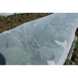 Insect Screen & Garden Netting Against Bugs, Birds & Squirrels