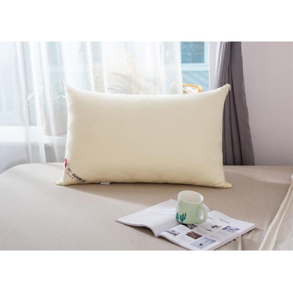 Buy 100% Cotton Woven White Goose Down Pillow at wholesale prices