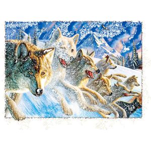 PET Plastic Material 5D Lenticular Image Frosted / Matte Finish