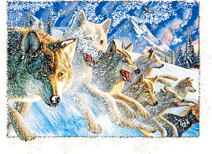 Buy PET Plastic Material 5D Lenticular Image Frosted / Matte Finish at wholesale prices