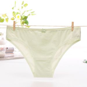 Jacquard Nylon Spandex Ladies Sexy Inner Wear Underwear