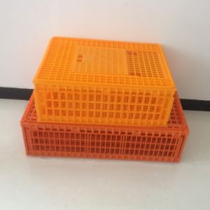 Plastic baskets for poultry turnover（Red ，Orange，yellow ）