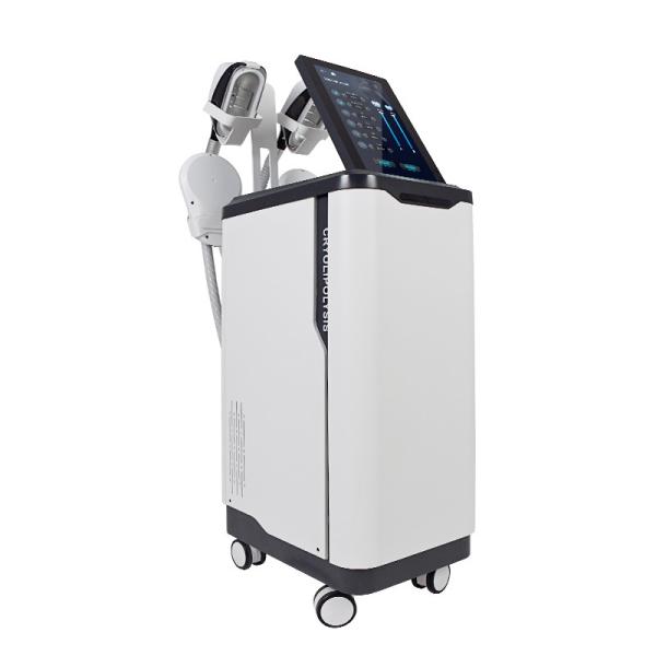 Buy Cool Sculpting  Slimming Laser Machine Non Invasive Eliminating Fat at wholesale prices