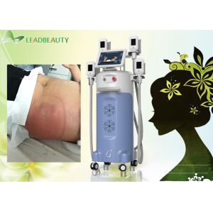4 big handles Great weight loss-15 ~5Celsuis degree machine cryolipolysis