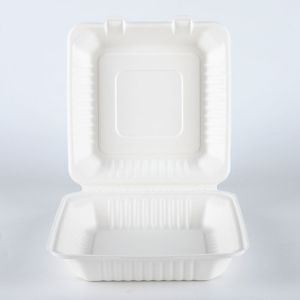 biodegradable catering sugarcane pulp molded paper food packaging
