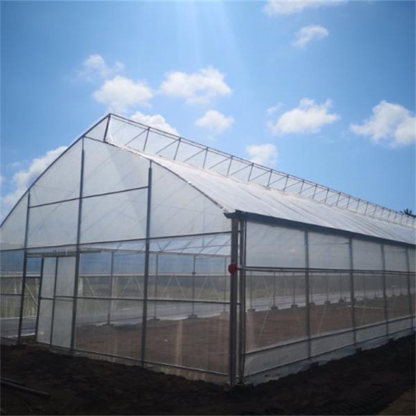 Buy Polyethylene Tunnel 6 Mil Plastic Covering Sawtooth Top Vent Greenhouse at wholesale prices
