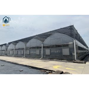 Commercial Multi Span Large Scale Greenhouse With Automatic Watering System