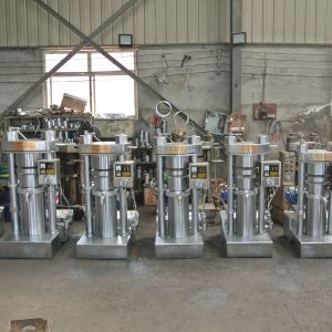 Batch Model Hydraulic Oil Press 8kg Sesame Seeds Machine