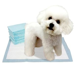 Buy Agility Training Disposable Pet Pads White 45x60cm 33x45cm 60x60cm at wholesale prices