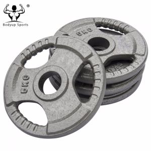 2-Inch Standard Grip Plates Cast Iron Weight Lifting Dics