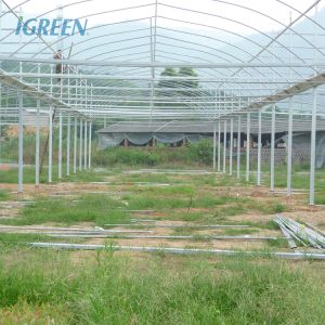 10m Tunnel Width Multi Span Greenhouse Hot Zone Desertic Wind Resistance