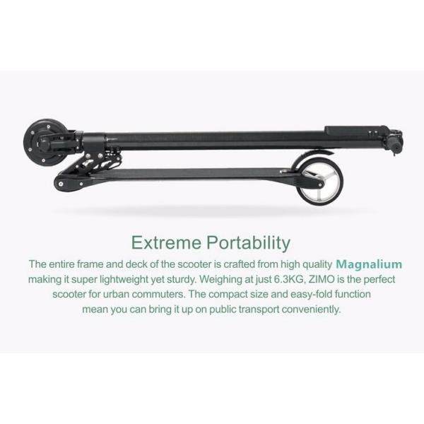 Carbon Foldable Electric Scooter with 350 Watt Brushless Motor , Electric Kick Scooter