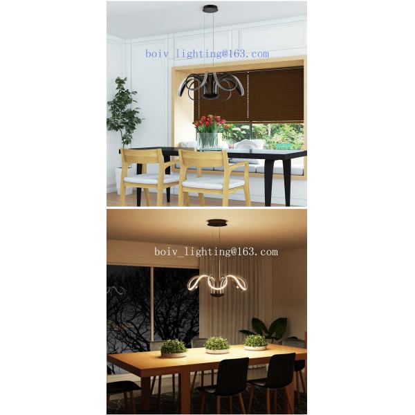 Modern LED Pendant Light With Lamp For Home Decoration Chome