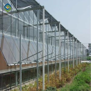 Stable Hot Galvanized Steel Venlo Glass Greenhouse 3.0mm Thickness