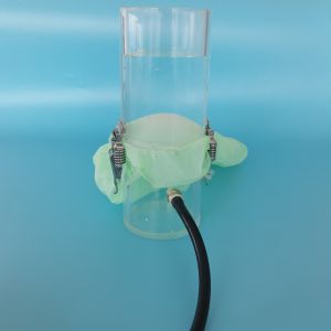 Pet Custom Printed Dog Poop Bags Plastic Biodegradable Eco Friendly